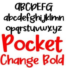 zp pocket change bold