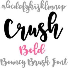 crush bold bouncy brush font