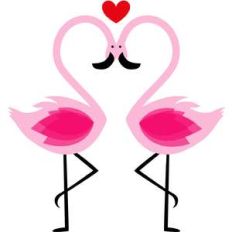 flamingos
