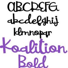 pn koalition bold
