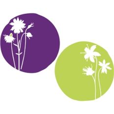 wildflowers in circles