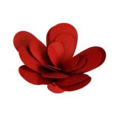 fun flower