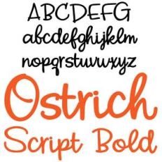 zp ostrich script bold