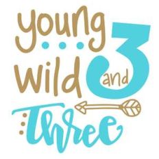 young wild and three birthday phrase