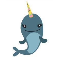 narwhal