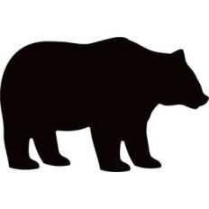 bear