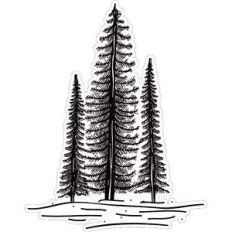 pine trees