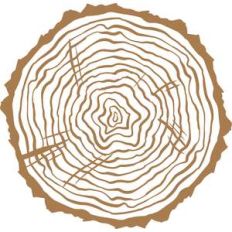 tree rings