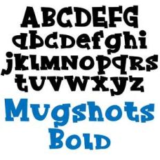 zp mugshots bold
