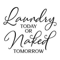 laundry today or naked tomorrow