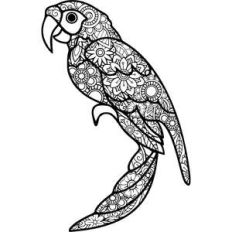parrot mandala zentangle