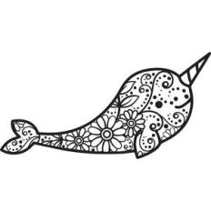 floral narwhal