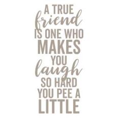 a true friend is one who makes you laugh so hard you pee a little