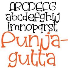 pn punjagutta
