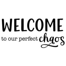 welcome to our perfect chaos