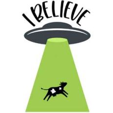 i believe in ufos