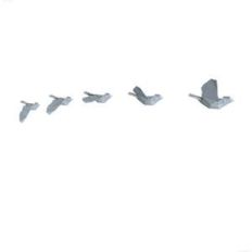 lowpoly flight sequence