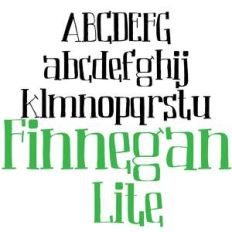 pn finnegan lite