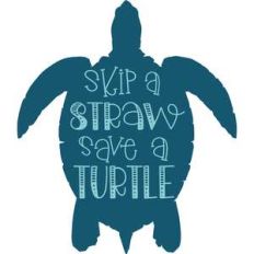 skip a straw save a turtle
