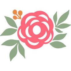 flower and leaves
