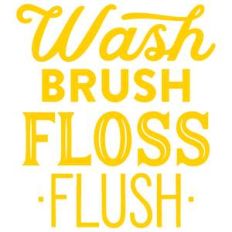 wash brush floss flush