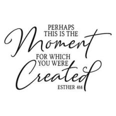 perhaps this is the moment for which you were created