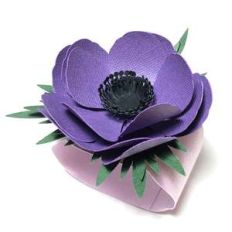 anemone