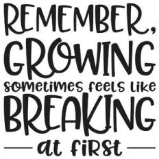 remember, growing sometimes feels like breaking at first quote