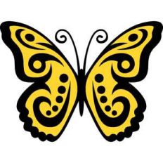 arabesque butterfly