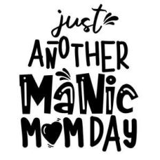 just another manic mom day