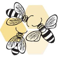 honey bee hive