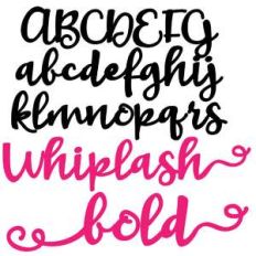 zp whiplash bold