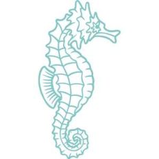 seahorse