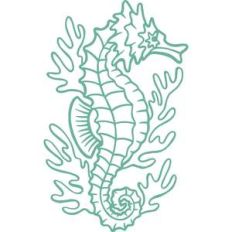 seahorse coral