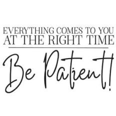 everything comes to you at the right time be patient quote