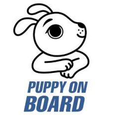 puppy on board
