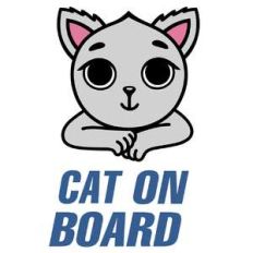cat on board