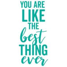 you are like the best thing ever