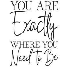 you are exactly where you need to be quote
