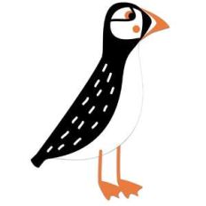 puffin