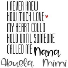 never knew love - nana abuela mimi