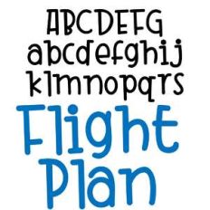 zp flight plan