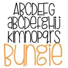 pn bungie