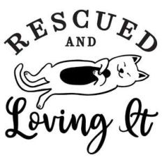 rescued and loving it cat