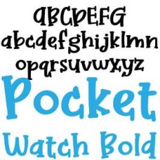 zp pocket watch bold