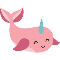 narwhal