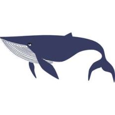 whale