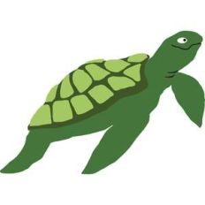 sea turtle