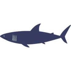 shark