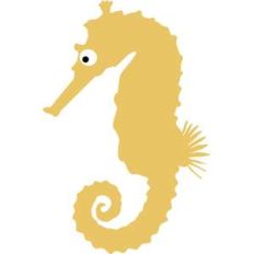 seahorse